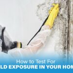 How to Test for Mold Exposure in Your Home?