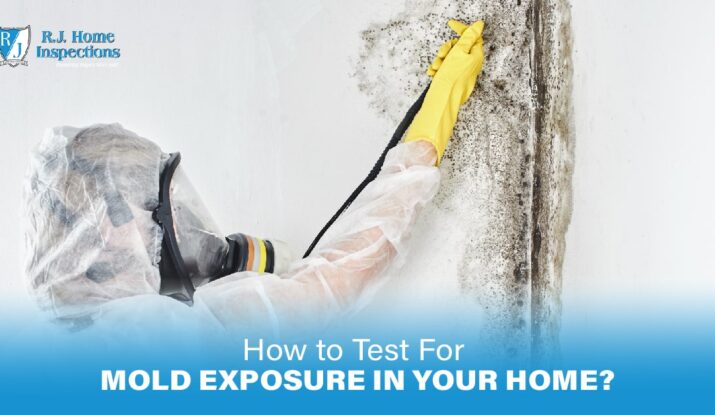 how to test for mold exposure