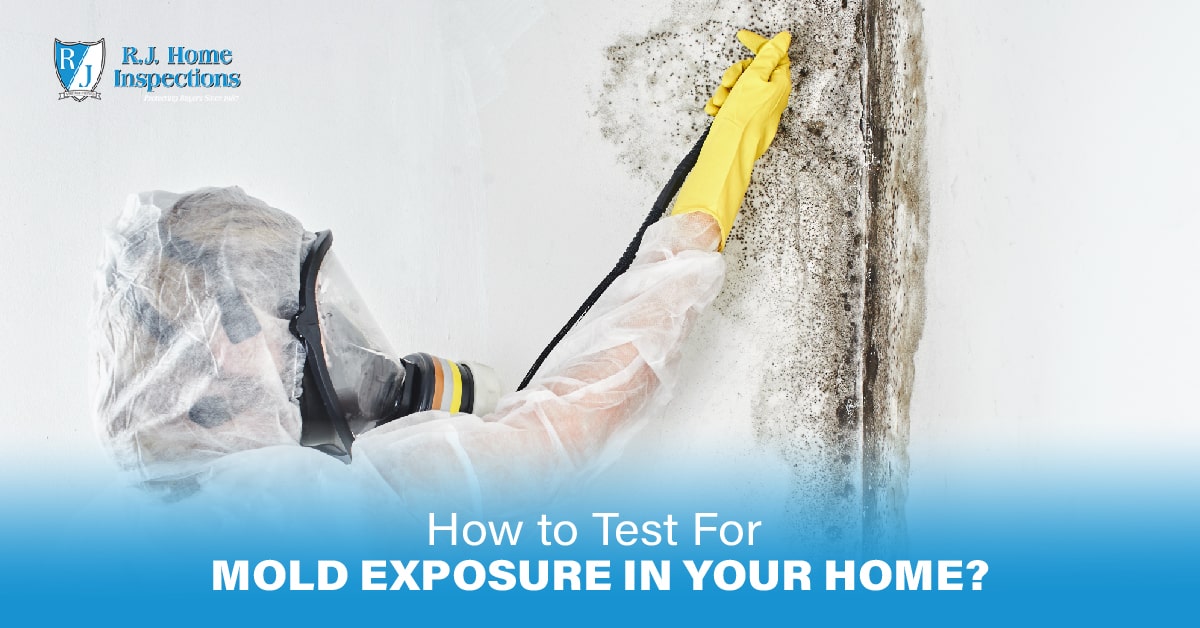 how to test for mold exposure