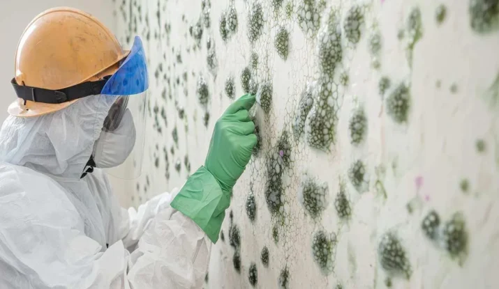 mold detection